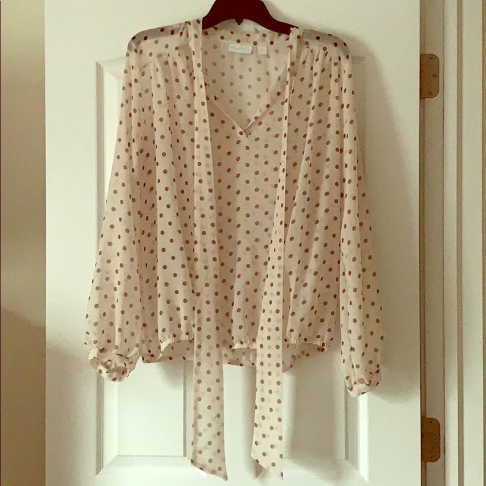 See through brown polka dot blouse